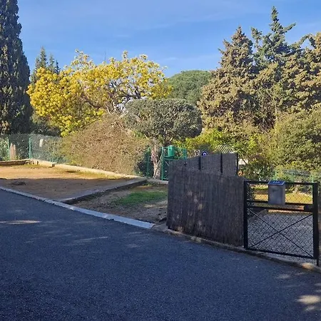 Apartment T3 Avec Jardin Proche Et *